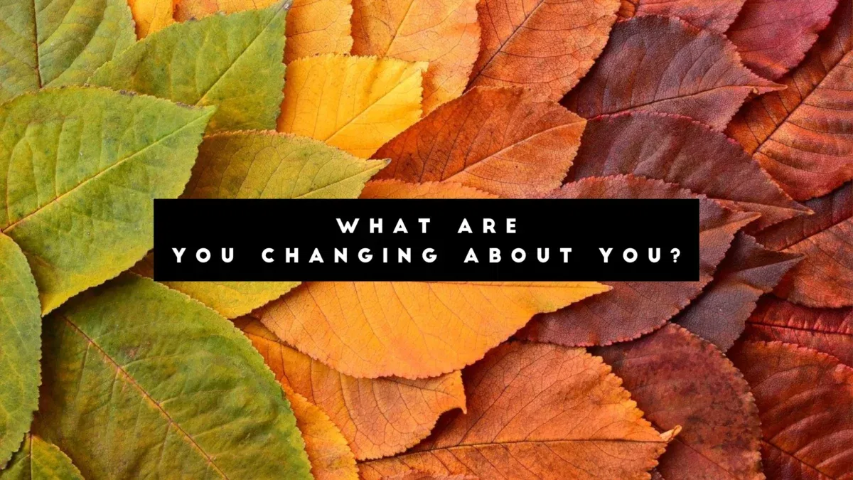 Colorful autumn leaves with inspirational question.