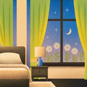 Cozy bedroom, night sky view, flowers by window.