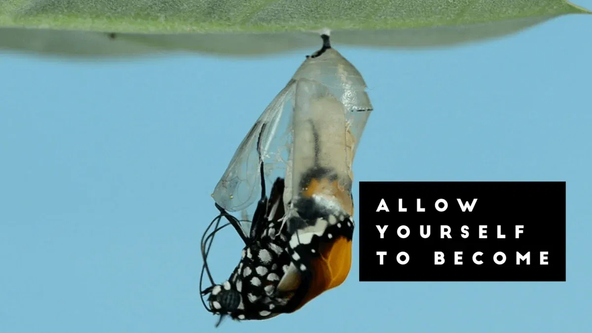 Butterfly emerging from chrysalis, transformation quote.